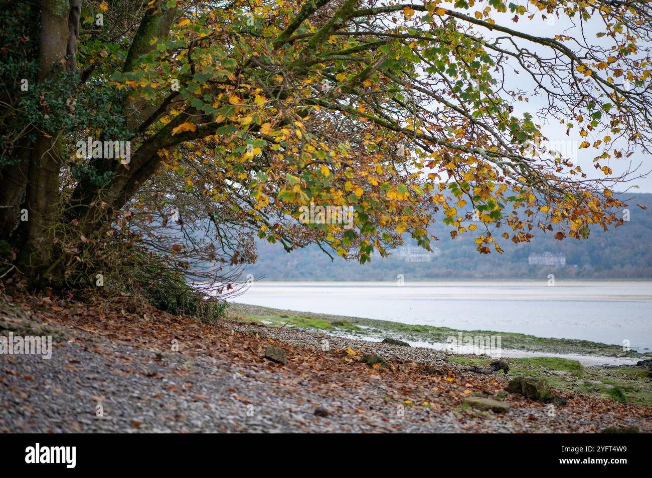 Vue d'automne, Arnside, Milnthorpe, Cumbria, Royaume-Uni Banque D'Images