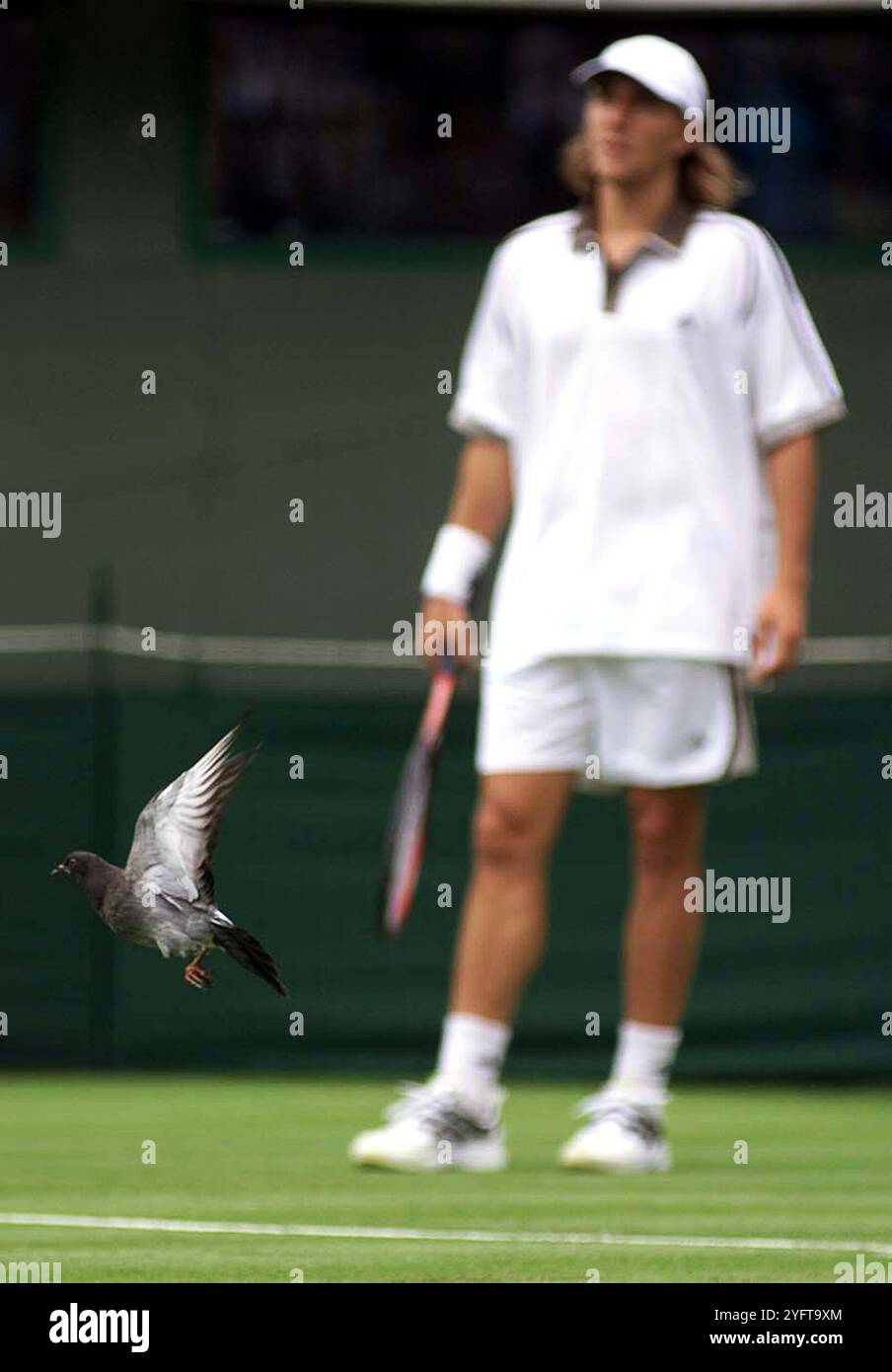 Wimbledon tennis touranment centre court un pigeon sauvage arrête jouer 1999 Banque D'Images