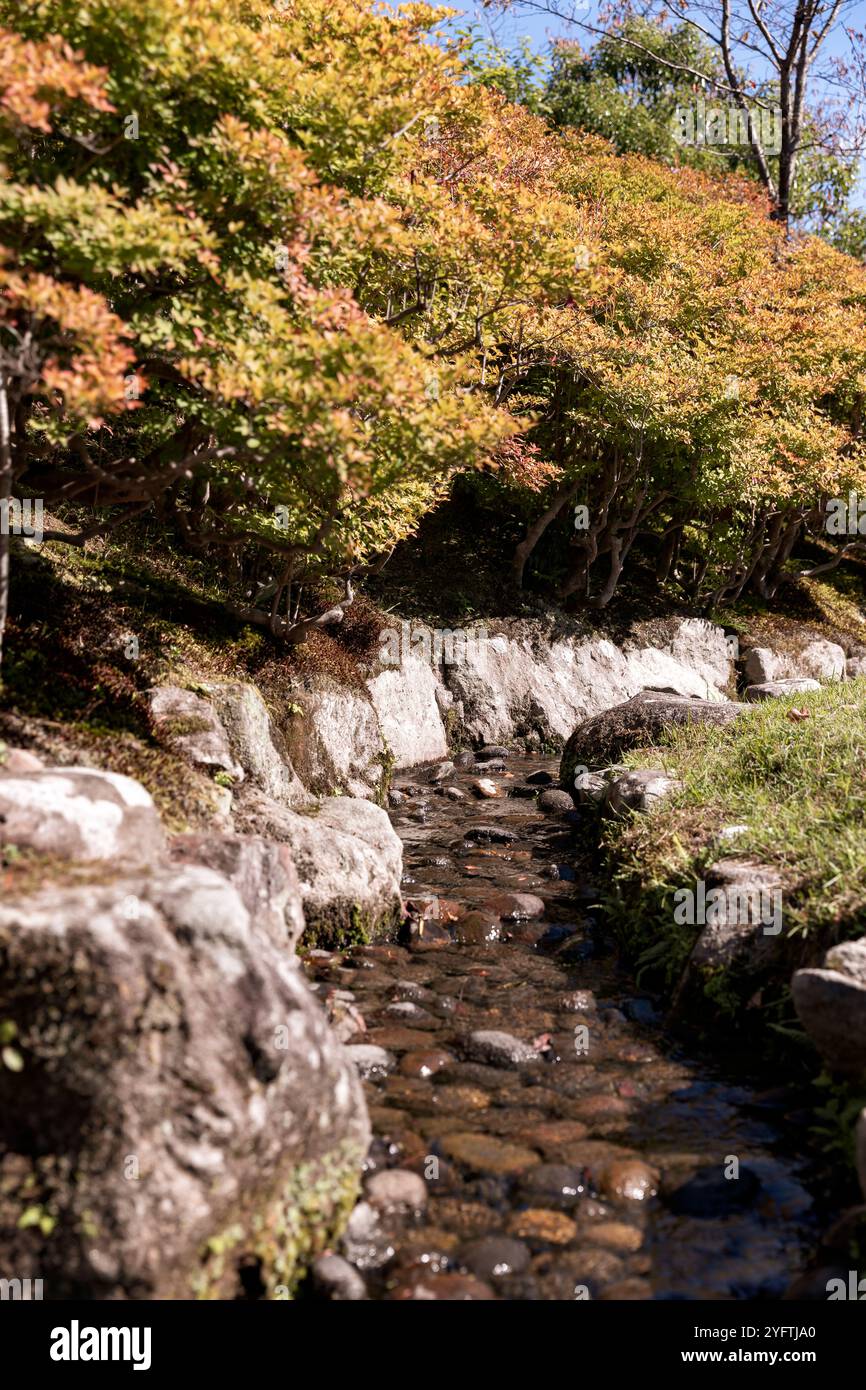 Jardin Isuien, jardin traditionnel japonais à Nara, Japon. © Giorgia de Dato Banque D'Images