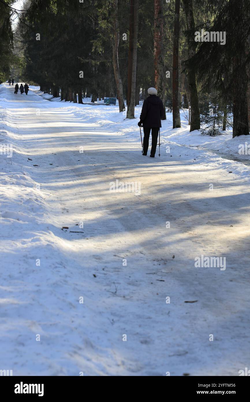 La silhouette d'une femme non identifiée faisant une marche nordique dos au spectateur et marchant vers l'avant le long du sentier du parc d'hiver Banque D'Images