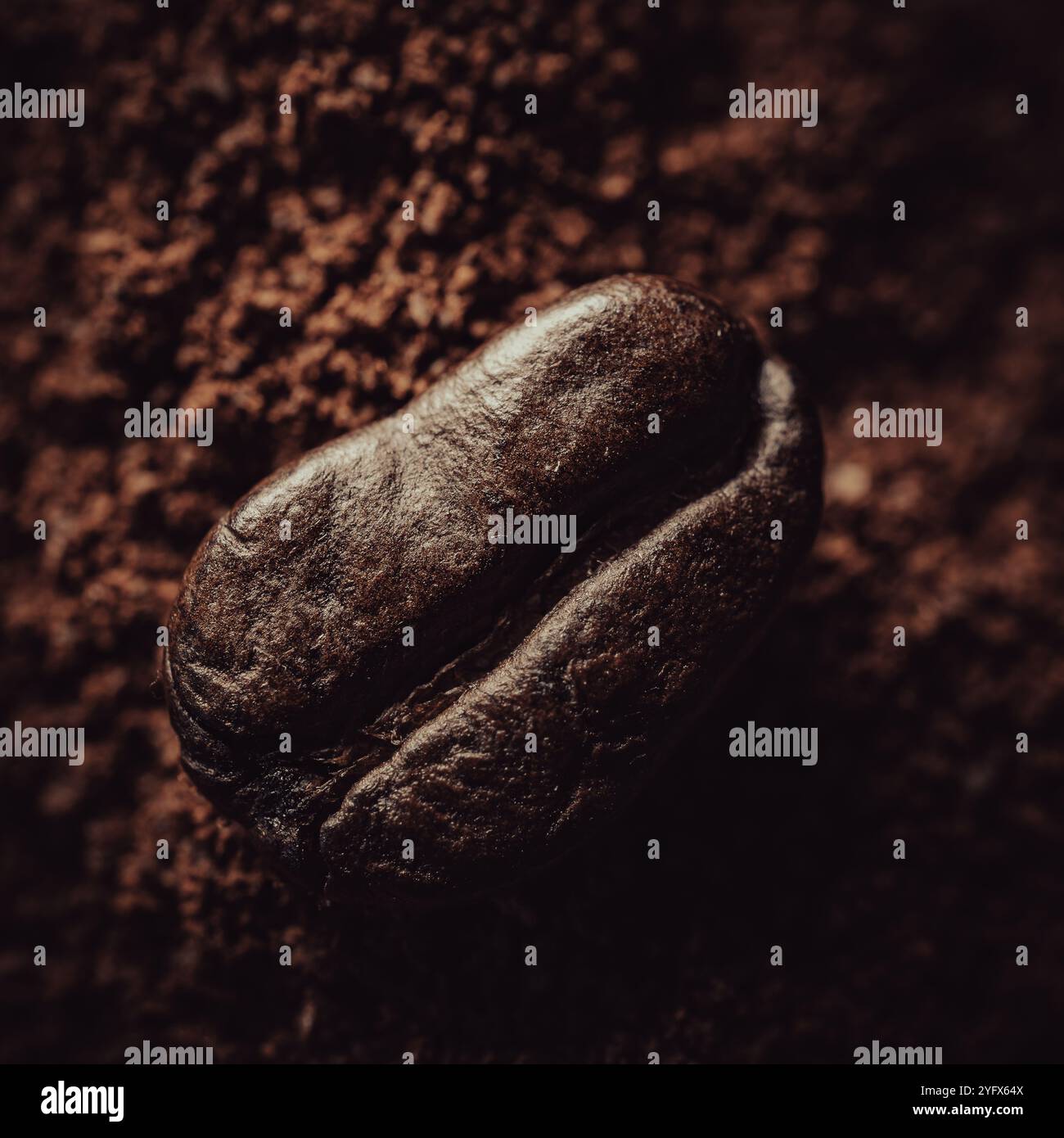 Grains de café. Banque D'Images