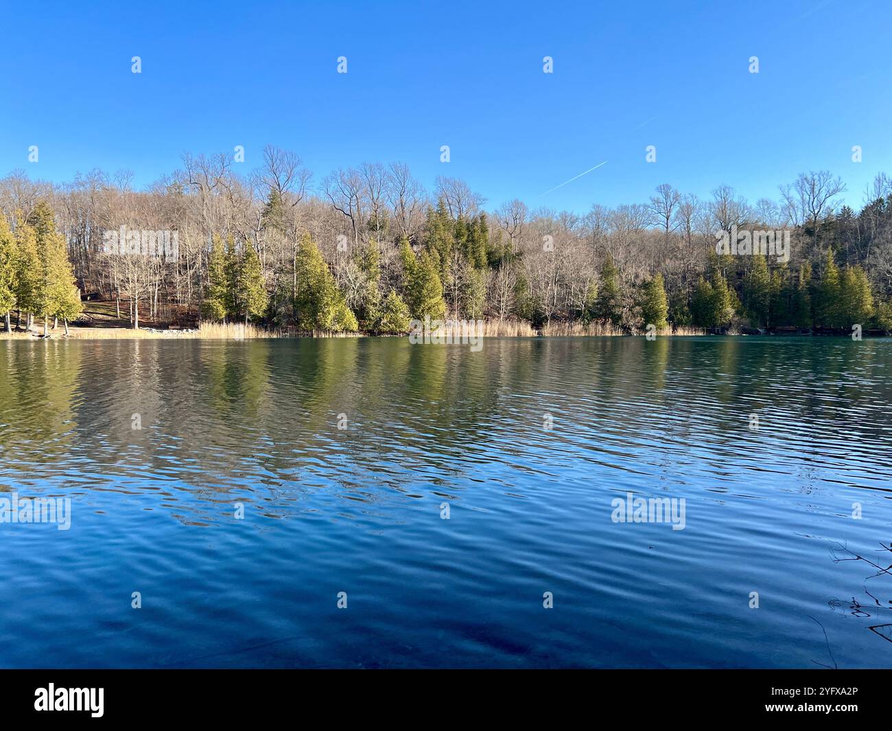 Beau lac arboré par une journée ensoleillée d'hiver. Ciel bleu vif, pas de gens. Reflet d'eau des arbres sur le lac. Green Lakes, Syracuse New York. Banque D'Images