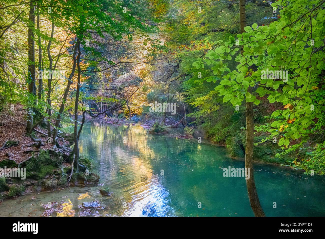 Rivière Urederra, Navarre, Espagne Banque D'Images