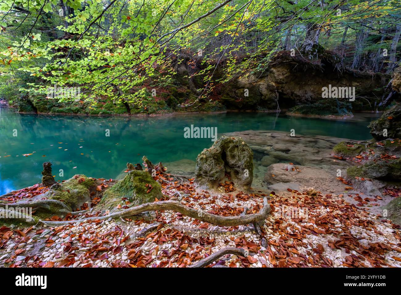 Rivière Urederra, Navarre, Espagne Banque D'Images