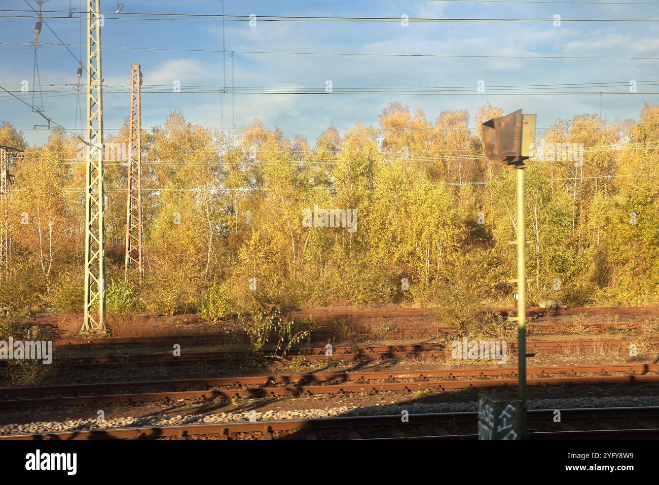 Birkenzweige im Herbst Die filigranen Zweige einer Sandbirke im Herbst mit goldener Färbung beim Laubfall begleitet als Pioniergehölz zahllose Bahnkilomètre. Essen Nordrhein-Westfalen Deutschland *** branches de bouleau en automne les branches filigrane d'un bouleau de sable en automne avec coloration dorée pendant la chute des feuilles accompagne d'innombrables kilomètres de chemin de fer Essen Rhénanie du Nord-Westphalie Allemagne Banque D'Images