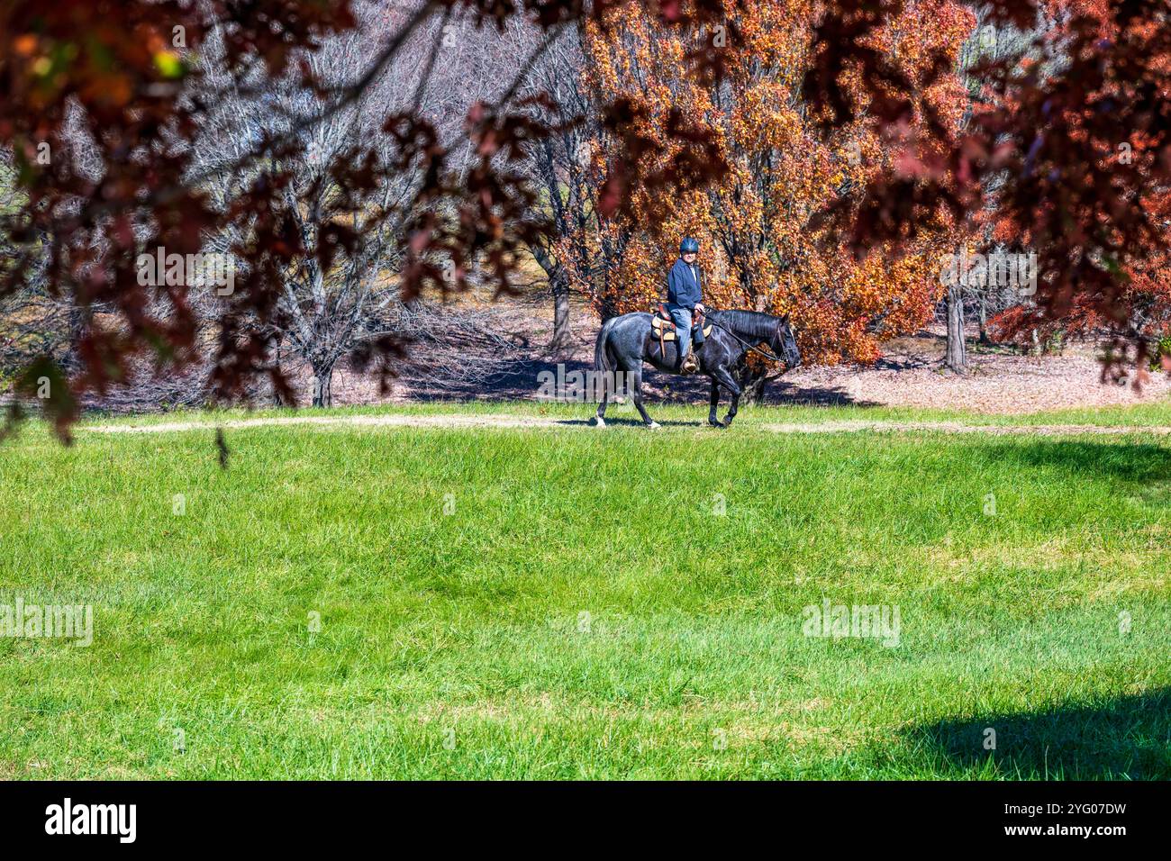 Un visiteur de l'Arboretum d'État de Virginie monte un cheval le long du chemin de la mariée. Banque D'Images