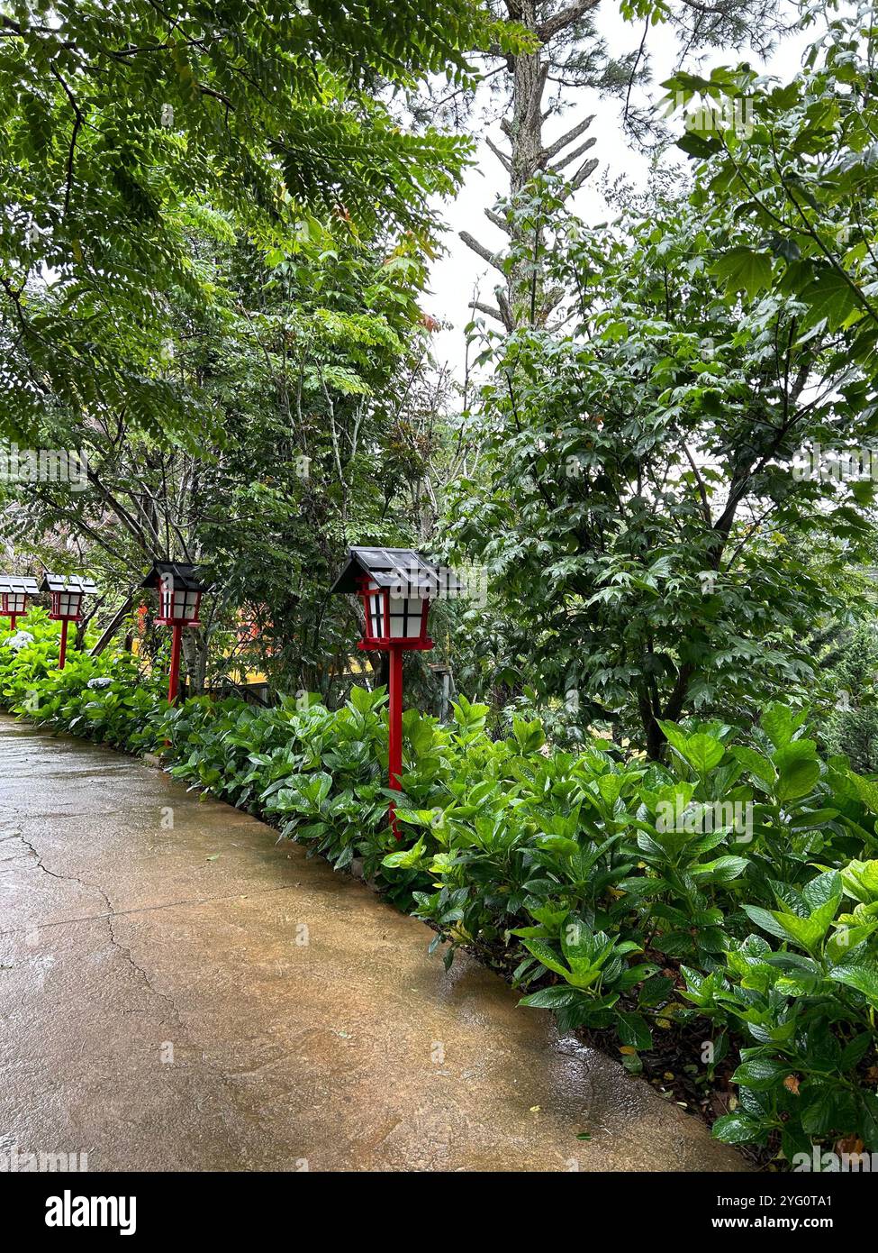 Un chemin avec des lanternes japonaises traditionnelles dans un jardin vert luxuriant Banque D'Images