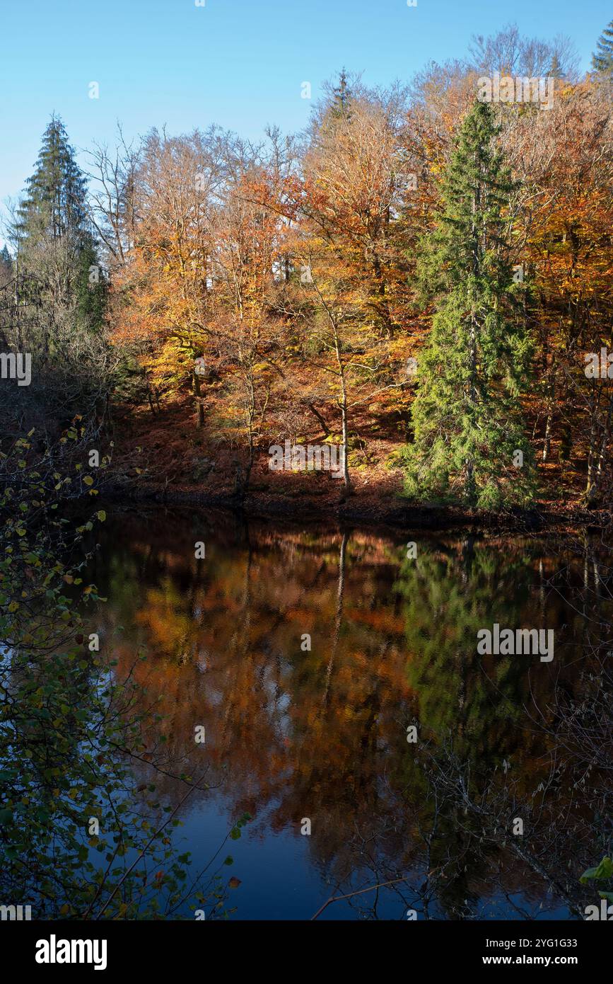 Paysage d'arbres et de lac en automne en Bourgogne, France, sous le soleil, avec un beau reflet dans l'eau Banque D'Images Paysage d'arbres et de lac en automne en Bourgogne, France, sous le soleil, avec un beau reflet dans l'eau Banque D'Images