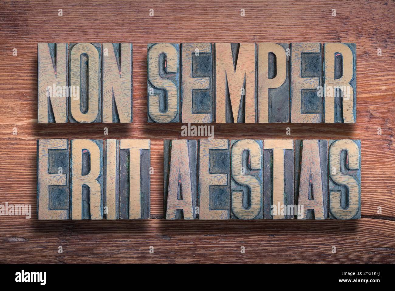Non semper erit aestas (ce ne sera pas toujours l'été) phrase latine combinée sur une surface en bois verni vintage Banque D'Images