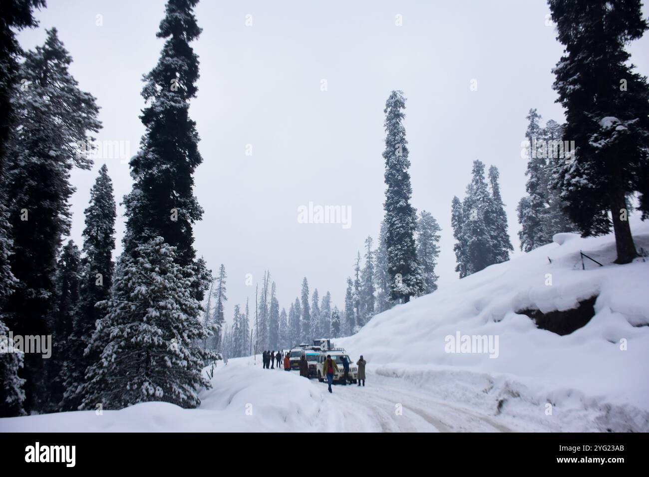 Les gens sont coincés dans les embouteillages alors que les conducteurs rencontrent des problèmes de conduite sur les routes glacées en route vers la ville de Gulmarg, dans le district de Baramulla, au nord de Srinagar, au Cachemire administré par l'Inde Banque D'Images