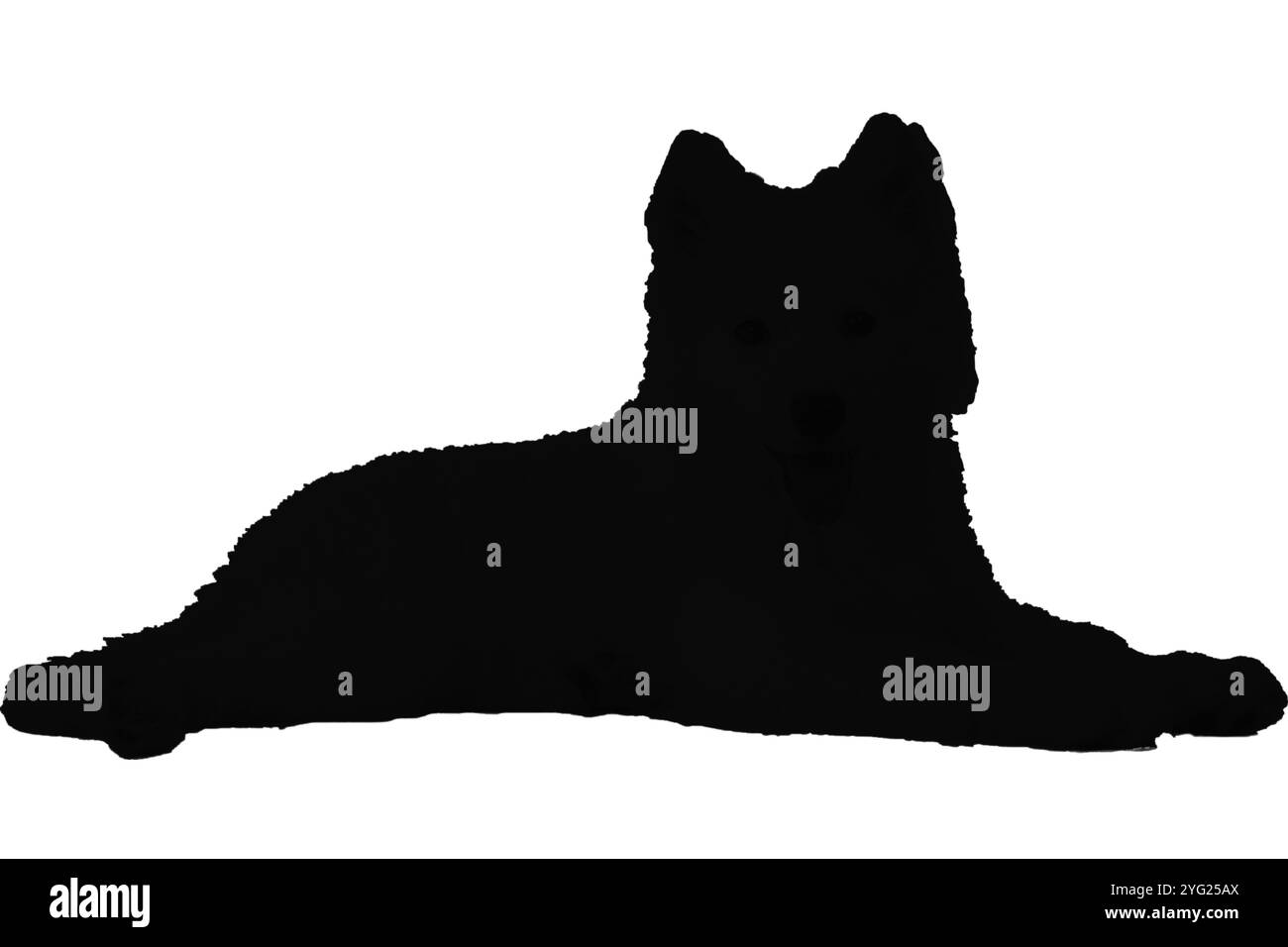 Silhouette de chien. Silhouette de vecteur de chien sur fond blanc. chien noir isolé sur fond blanc. chien découpé. dessin à la main. illustration vectorielle Banque D'Images