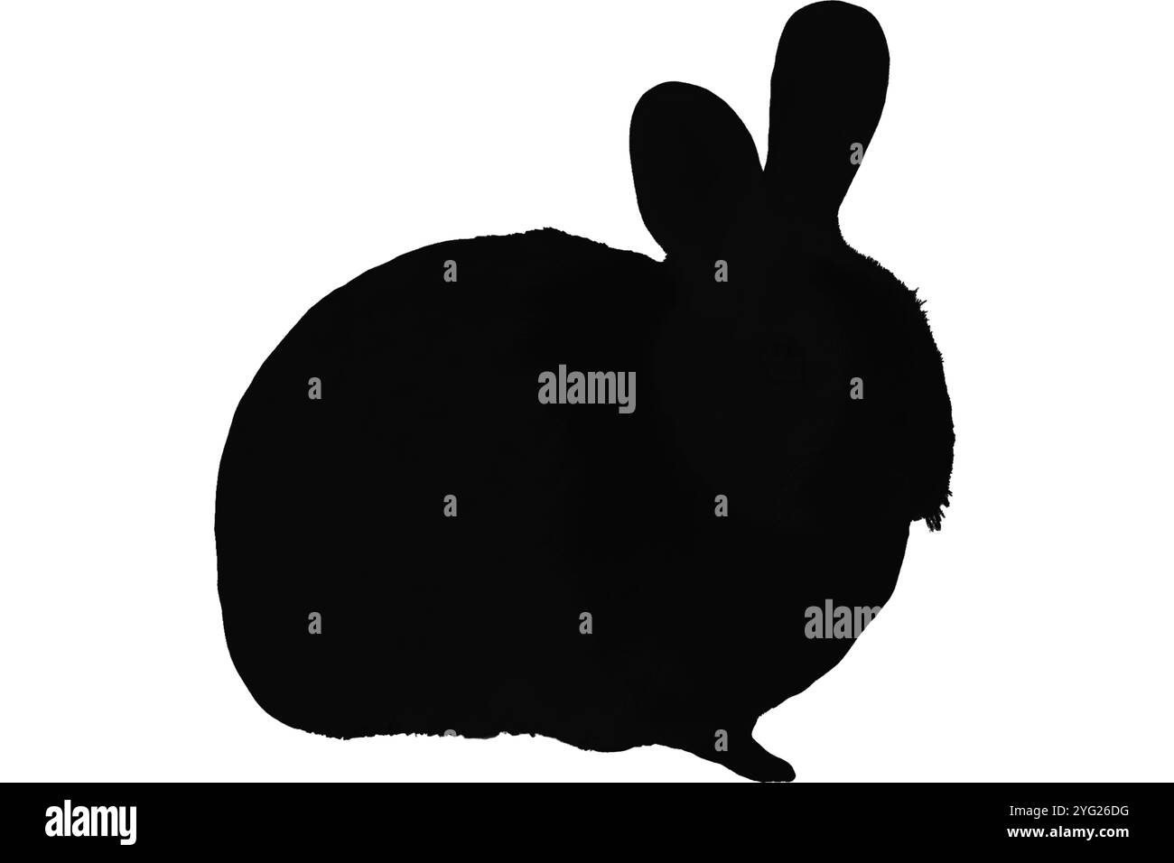 Ensemble silhouette de lapin. Symboles lapin. Silhouette de lièvre. Icône d'animal de ferme Banque D'Images