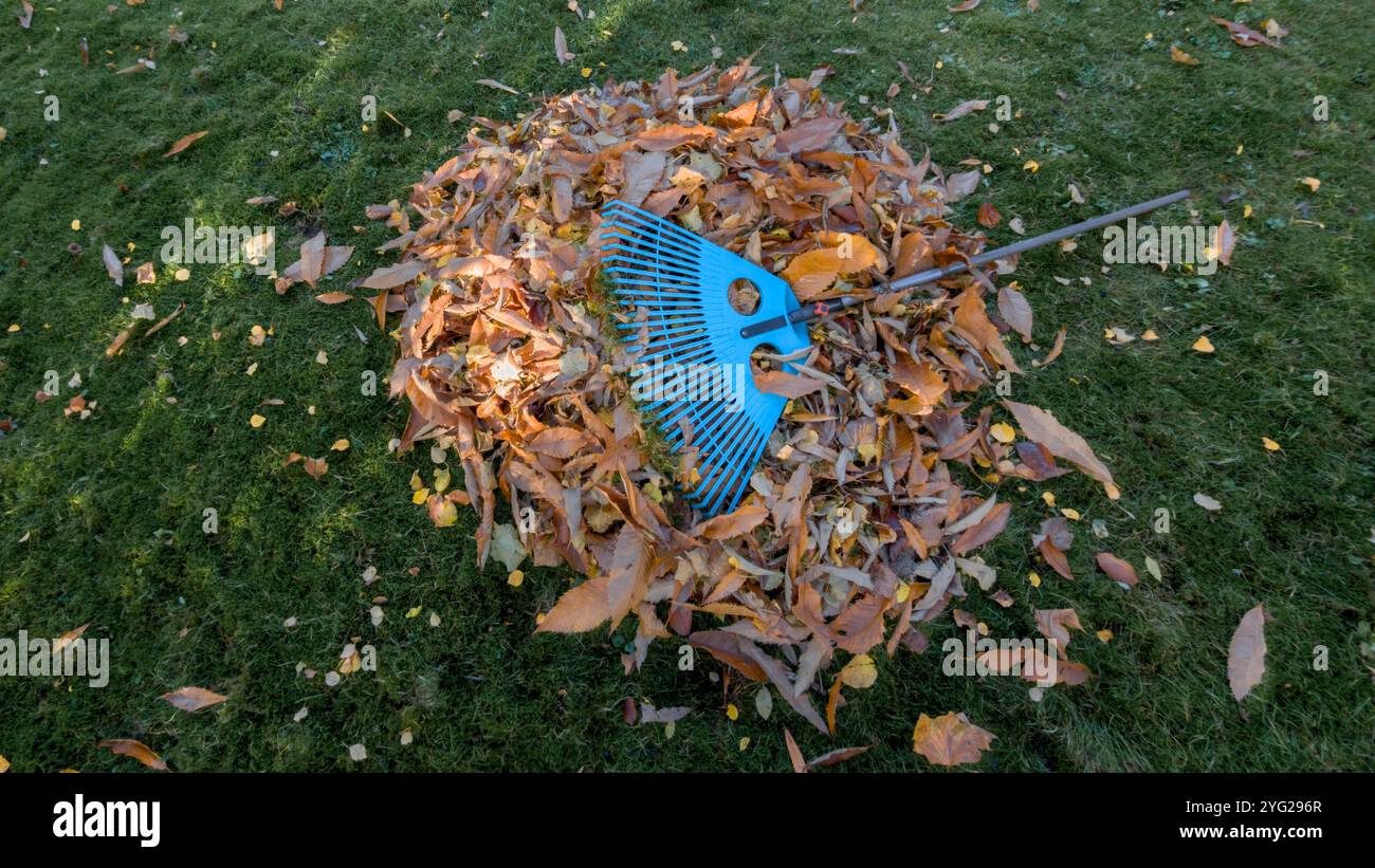 Hambourg, Allemagne. 02 novembre 2024. Les feuilles d'automne et un râteau reposent sur la pelouse dans un jardin. Crédit : Markus Scholz/dpa/Alamy Live News Banque D'Images