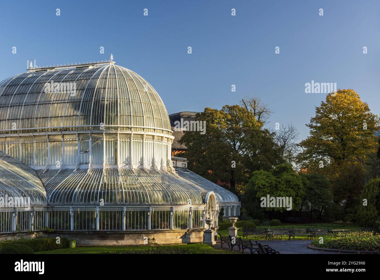 IRLANDE DU NORD, BELFAST, JARDINS BOTANIQUES, LA MAISON DE PALMIERS Banque D'Images