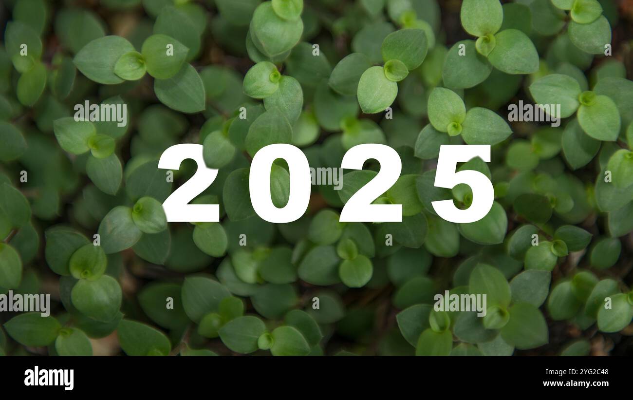 Vue de dessus du numéro 2025 écrit sur fond de feuilles vertes. Concept de bonne année ou célébration du nouvel an Banque D'Images