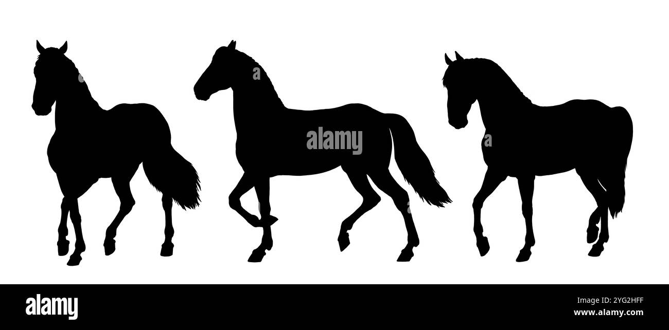 Silhouette noire de beau cheval. Dessin équin. Jeu de chevaux. Banque D'Images