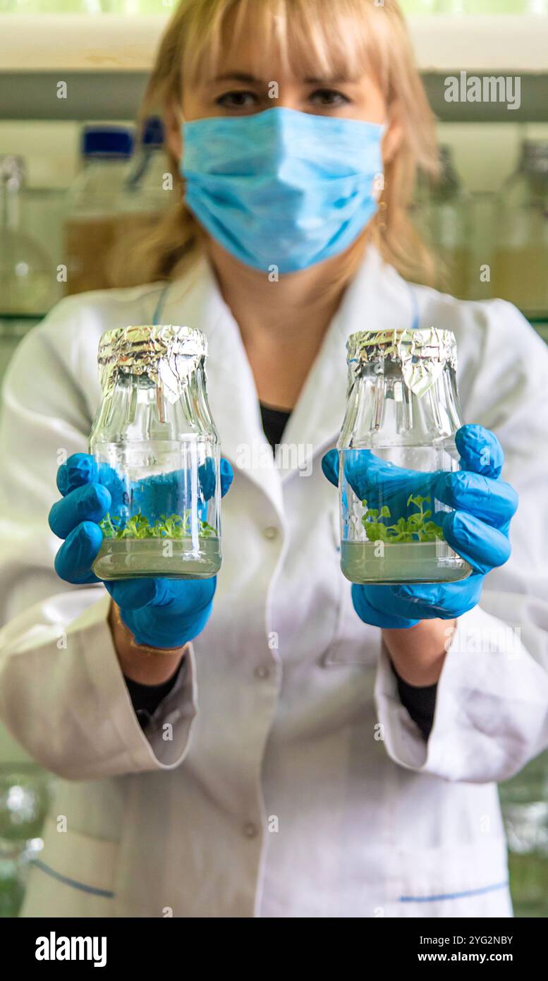 bocaux de laboratoire avec des plantes. Mise au point sélective. Les gens. Banque D'Images