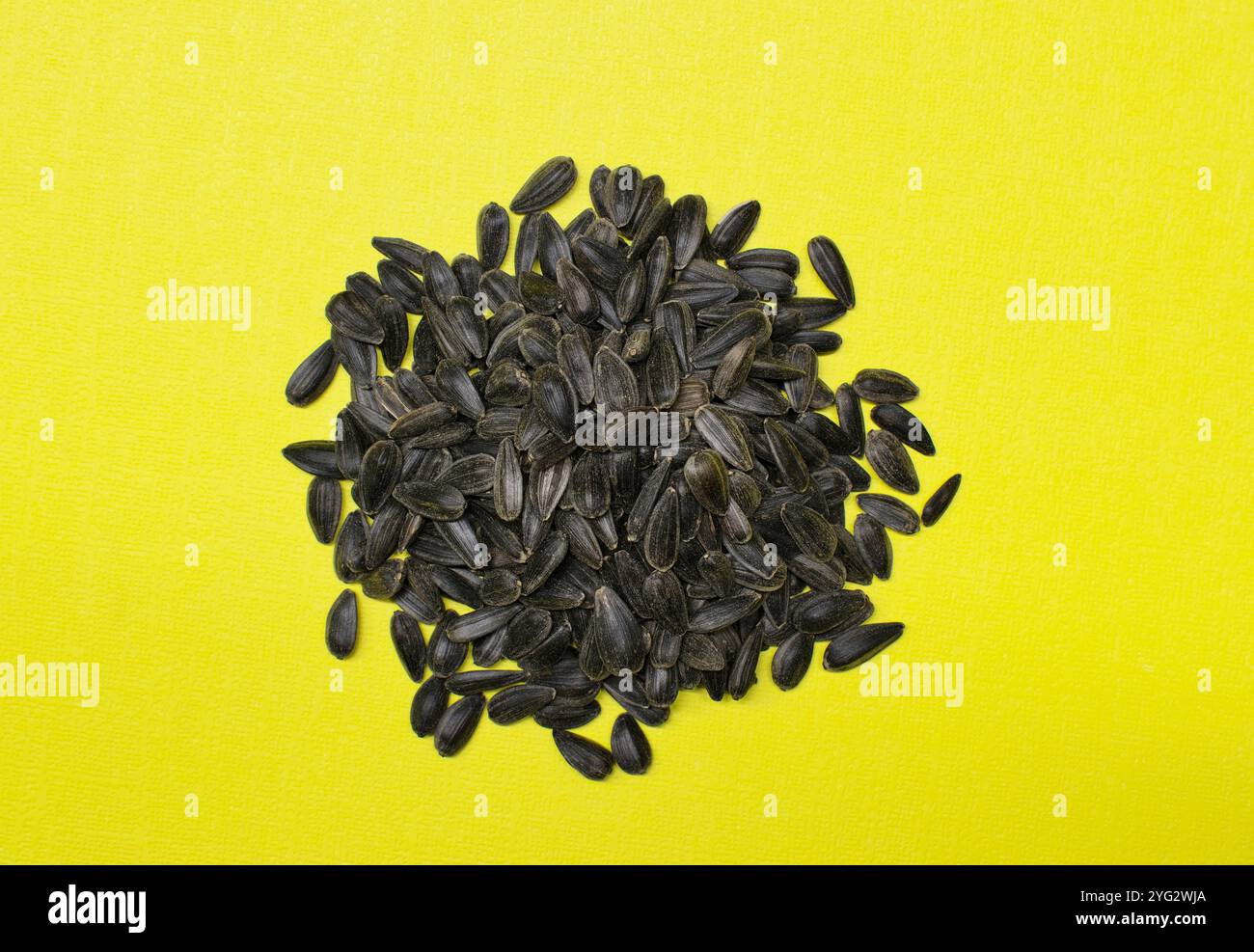 Nourriture entière de graines de tournesol d'huile noire empilée au centre sur fond jaune. Banque D'Images