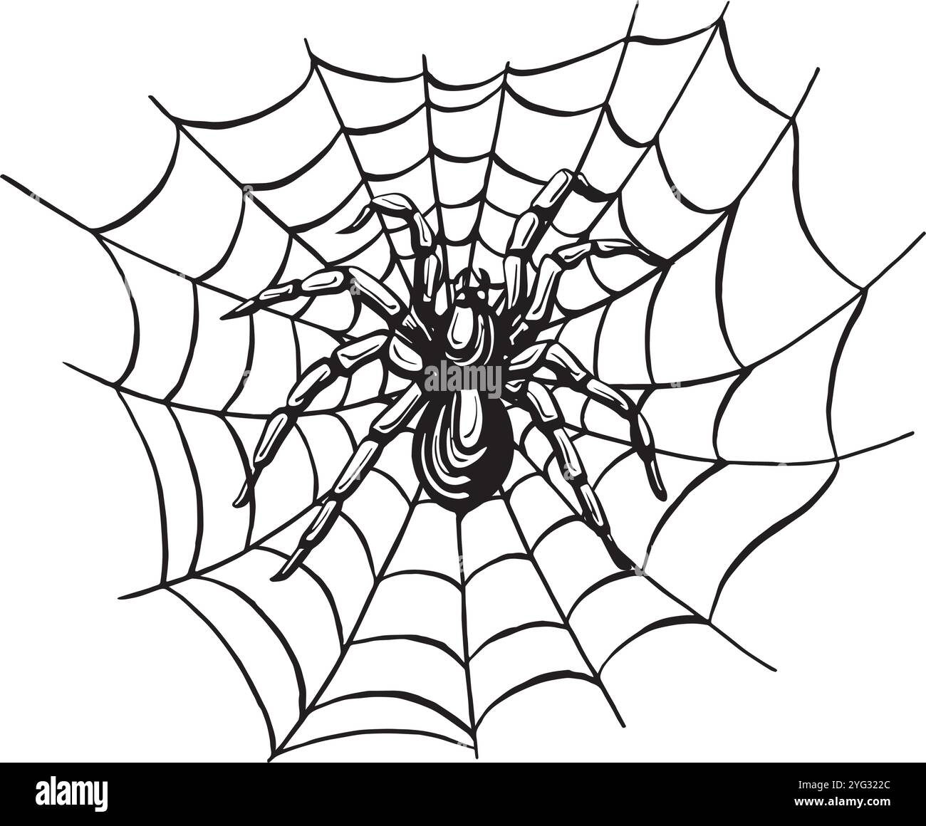 Araignée sur l'esquisse de l'âme. Illustration de ligne graphique vectorielle, dessinée à la main isolée. Doodle noir et blanc. Insecte dangereux effrayant veuve noire, animal sauvage Illustration de Vecteur