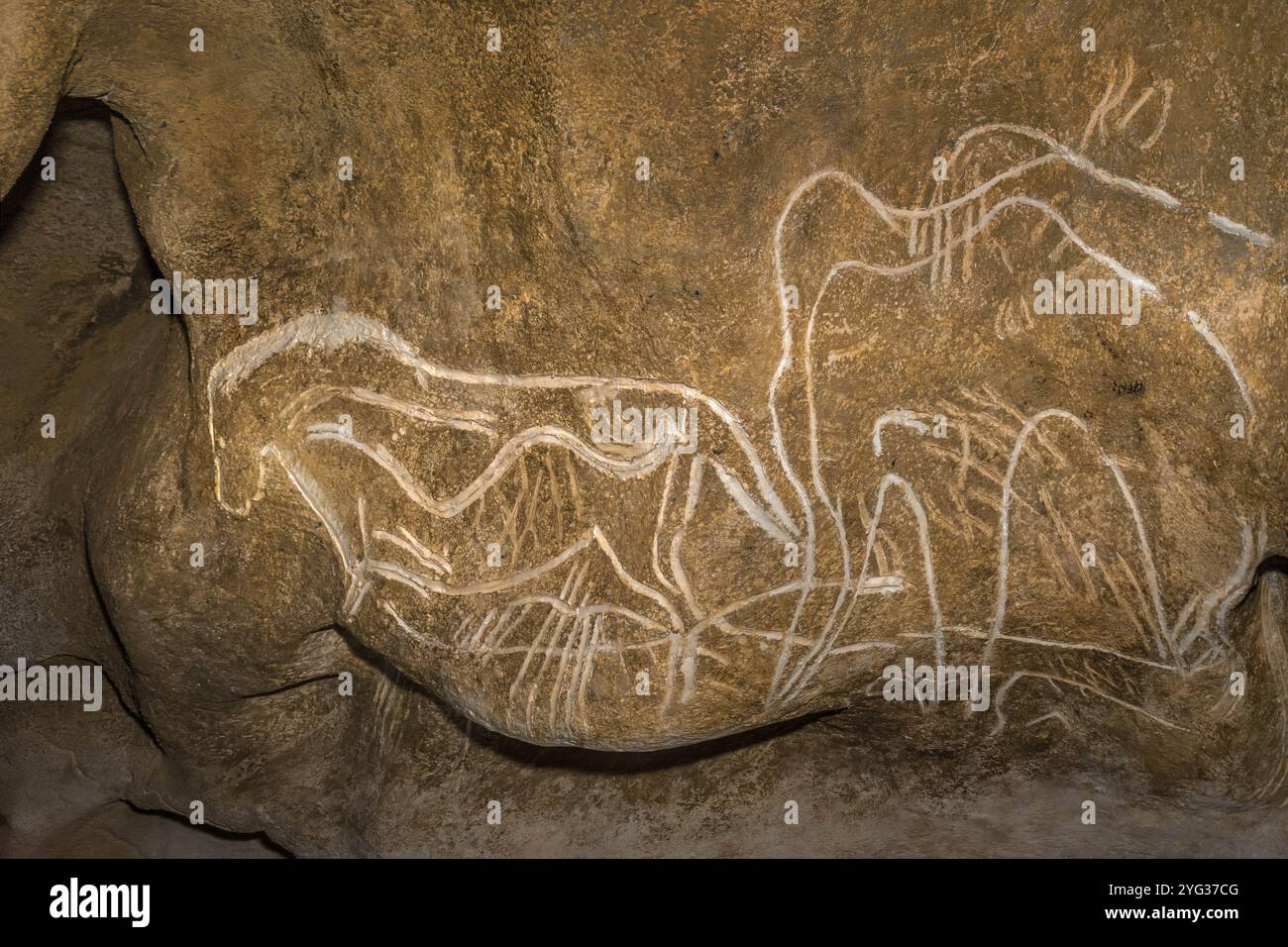 FRANCE. ARDÈCHE (07) - VALLON PONT D'ARC - VISITE EXCLUSIVE DE LA GROTTE ORNÉE DU PONT D'ARC, CONNUE SOUS LE NOM DE GROTTE CHAUVET : SALLE HILAIRE. PANNEAU DE L'ENGRAV Banque D'Images