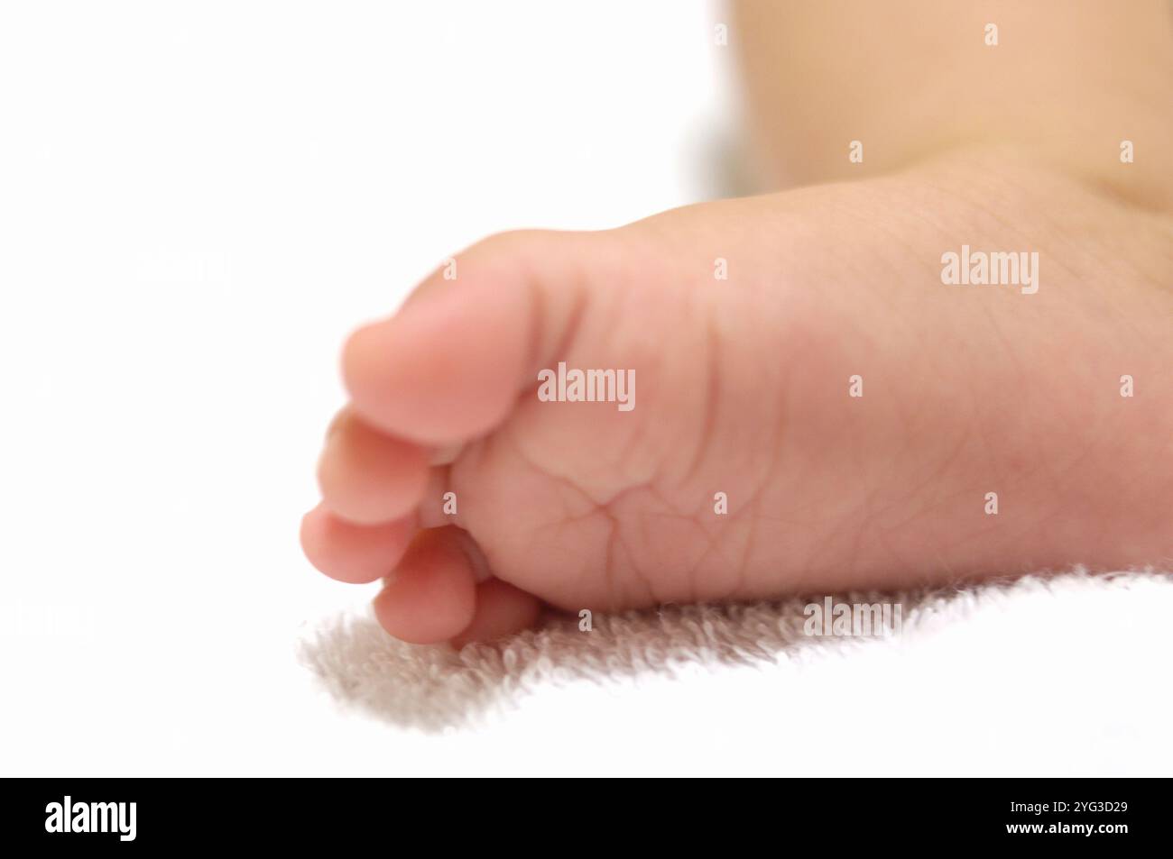 Pieds de bébé Banque D'Images