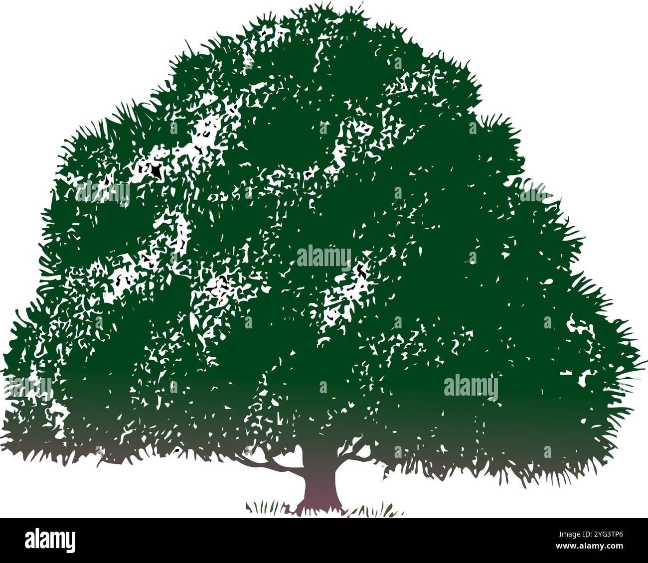 Arbres Banque D'Images