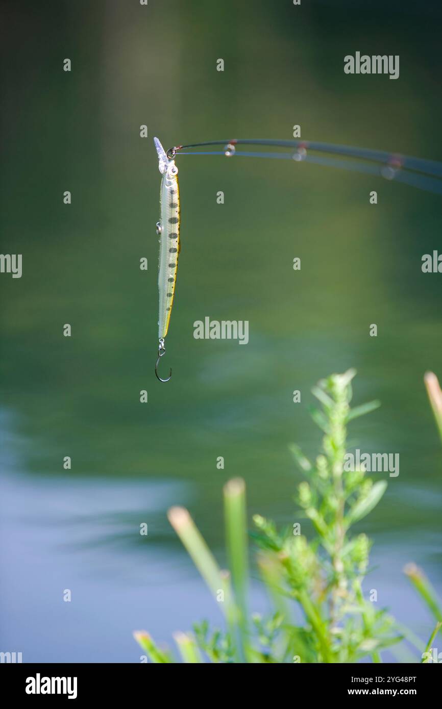 Image de pêche au leurre Banque D'Images