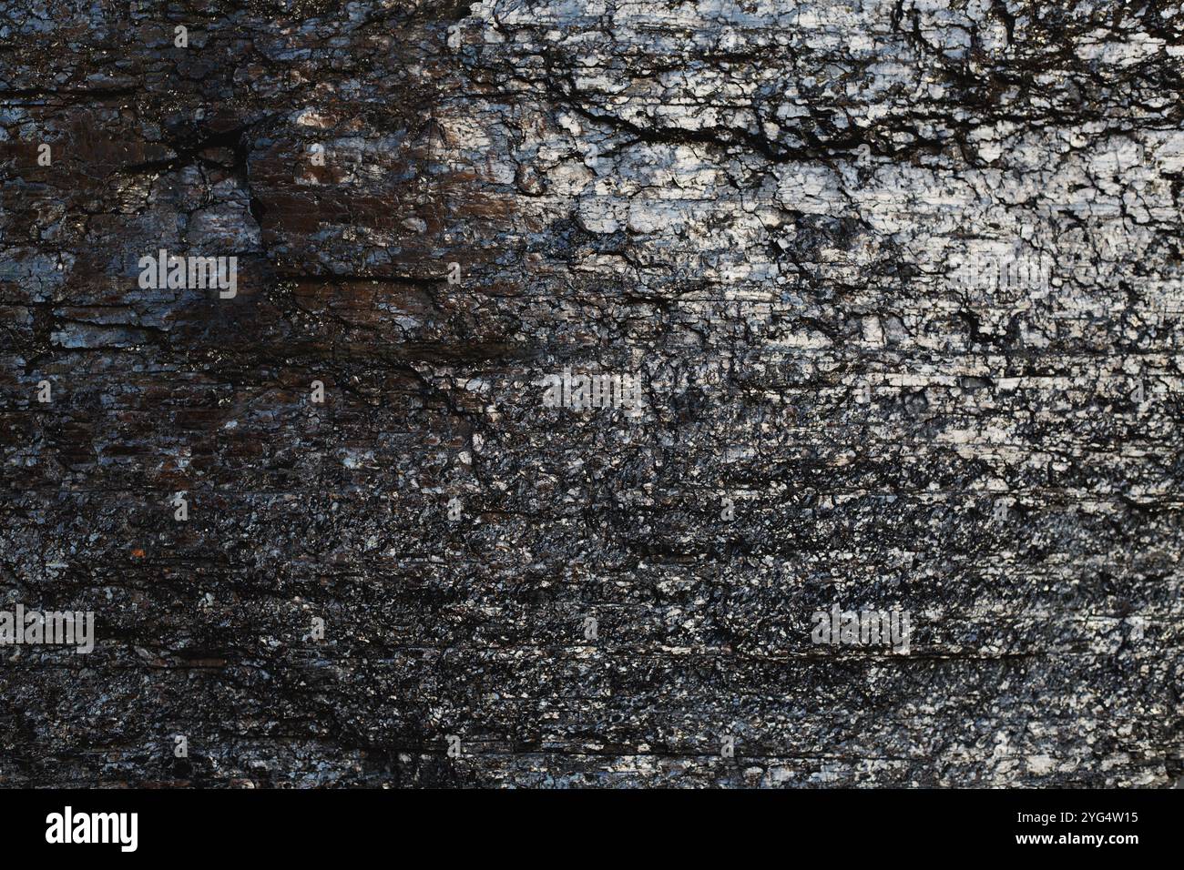 surface du charbon noir avec texture riche Banque D'Images