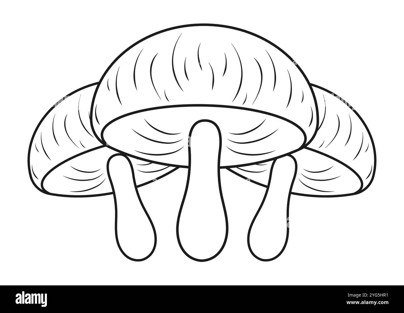 Champignons Vector Flat Designs, idéal pour les pages de coloriage, isolé sur fond blanc Illustration de Vecteur
