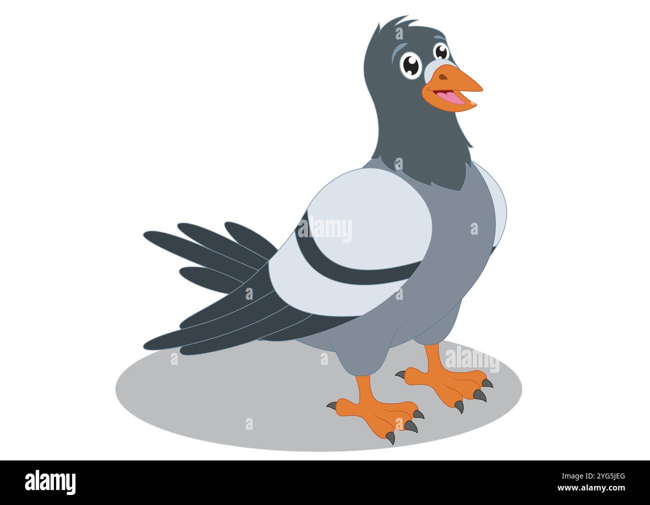 Conception plate de vecteur de dessin animé pigeon isolé sur fond blanc Illustration de Vecteur