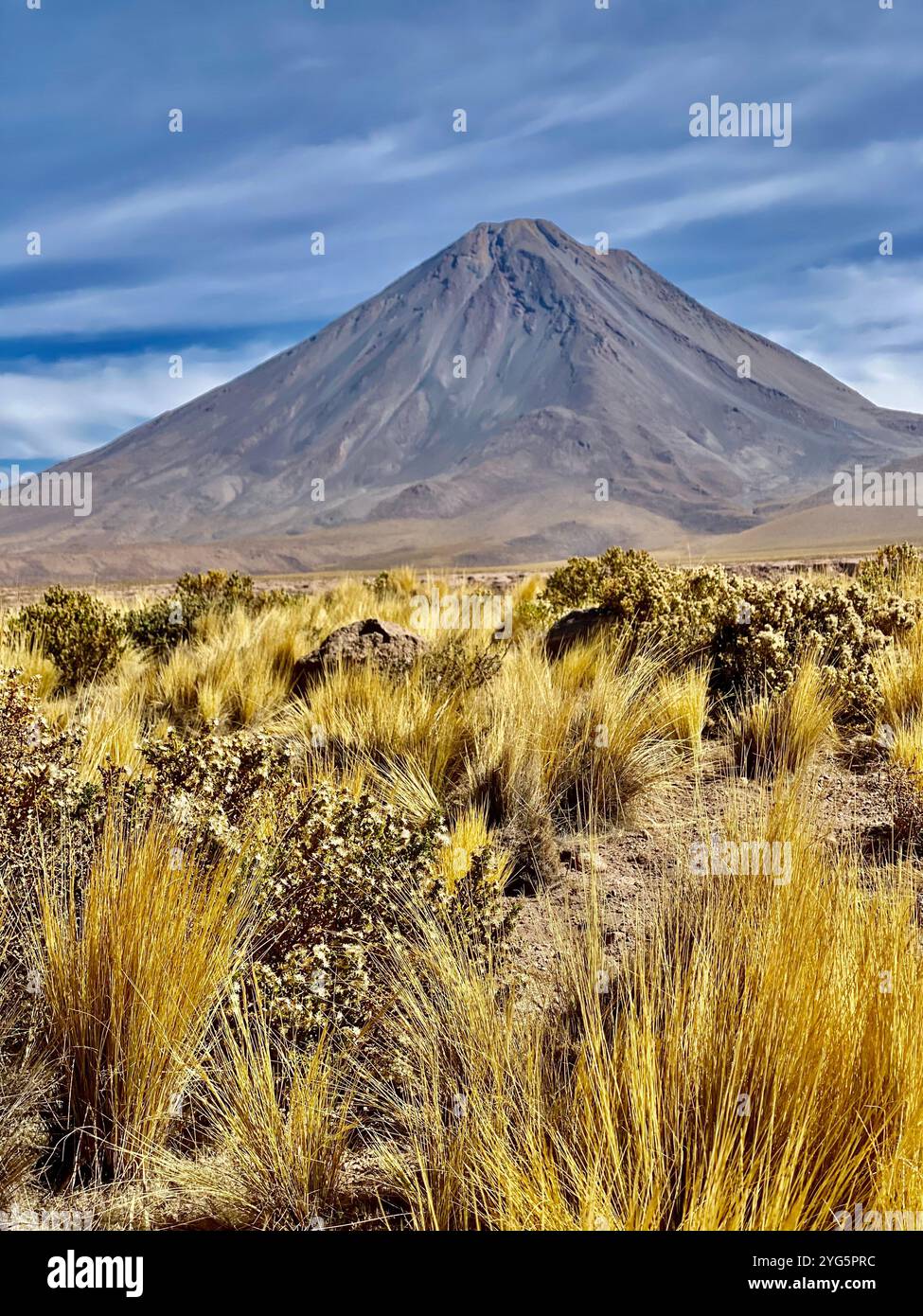 Vue imprenable sur le désert d'Atacama, connu comme le désert le plus sec du monde. Le vaste paysage aride présente un environnement dramatique semblable à mars - Image de stock capturée avec un smartphone