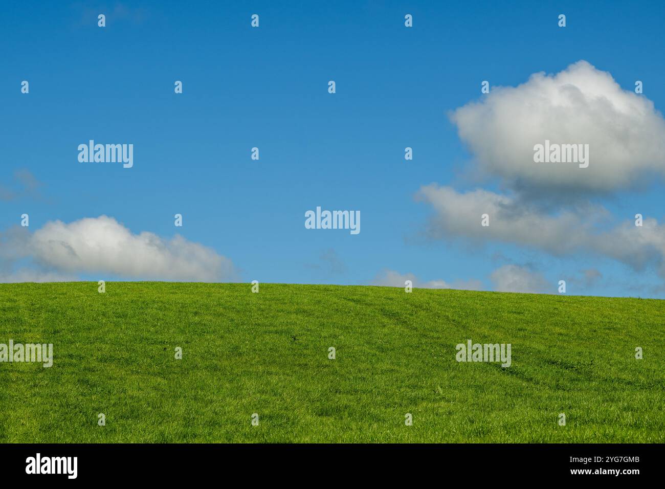Herbe verte luxuriante et un ciel bleu en Irlande. Banque D'Images