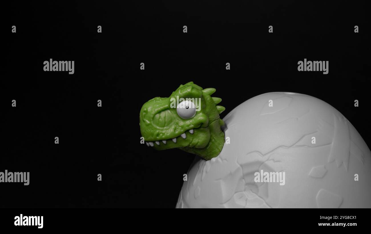 Tête de dinosaure jetant un coup d'oeil hors d'un œuf sur un fond noir avec espace de copie Banque D'Images