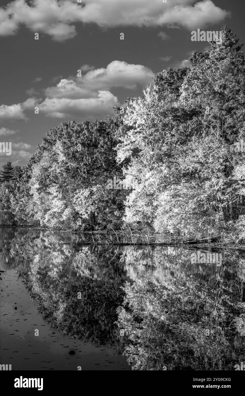 Couleur et reflets à D.W. Field Park, Brockton, ma Banque D'Images