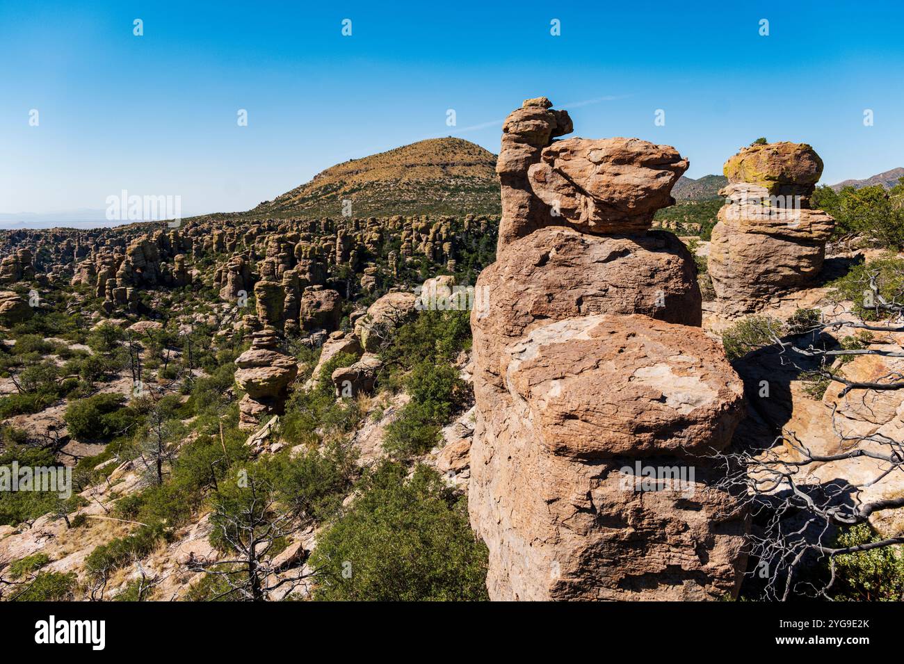 Formations rocheuses inhabituelles ; Massai point ; Chiricahua National Monument ; Arizona ; États-Unis Banque D'Images