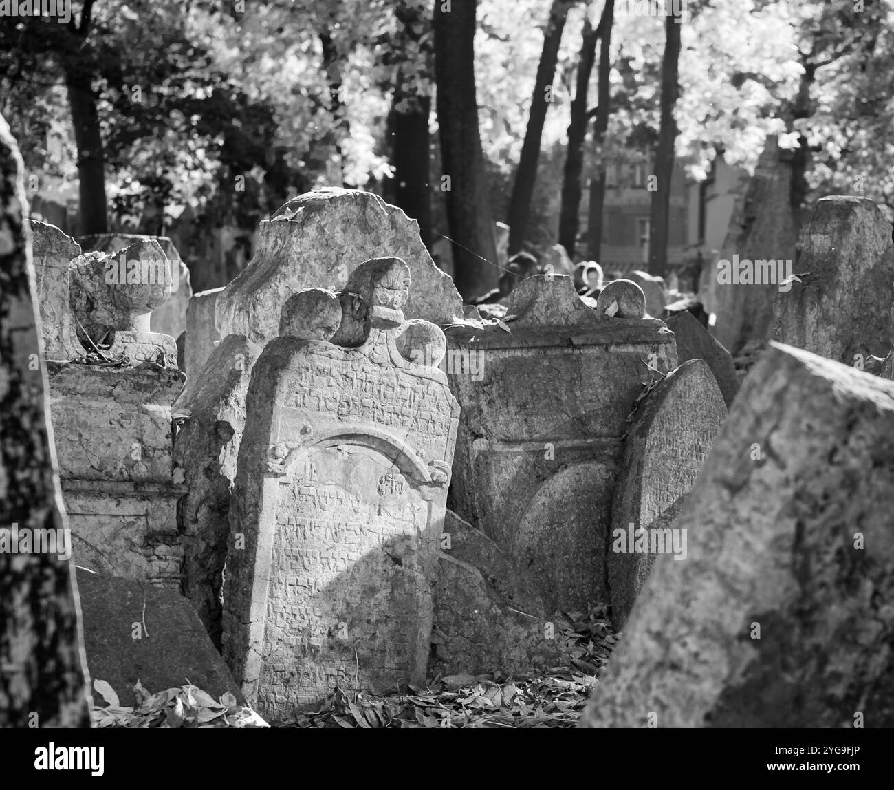 Pierres tombales historiques dans le vieux cimetière juif surpeuplé dans le quartier du ghetto de Prague en République tchèque. L'espace était limité et les tombes sont 10 profondes. Banque D'Images