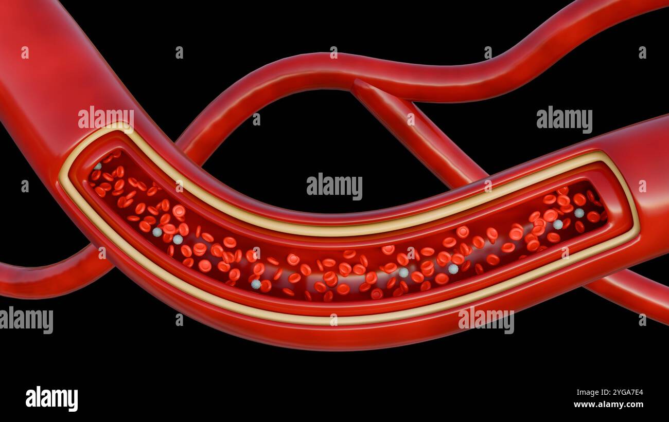 Un rendu 3D de la vue microscopique révèle une route animée de globules sanguins, avec des globules rouges se précipitant devant, transportant l'oxygène aux tissus du corps Banque D'Images