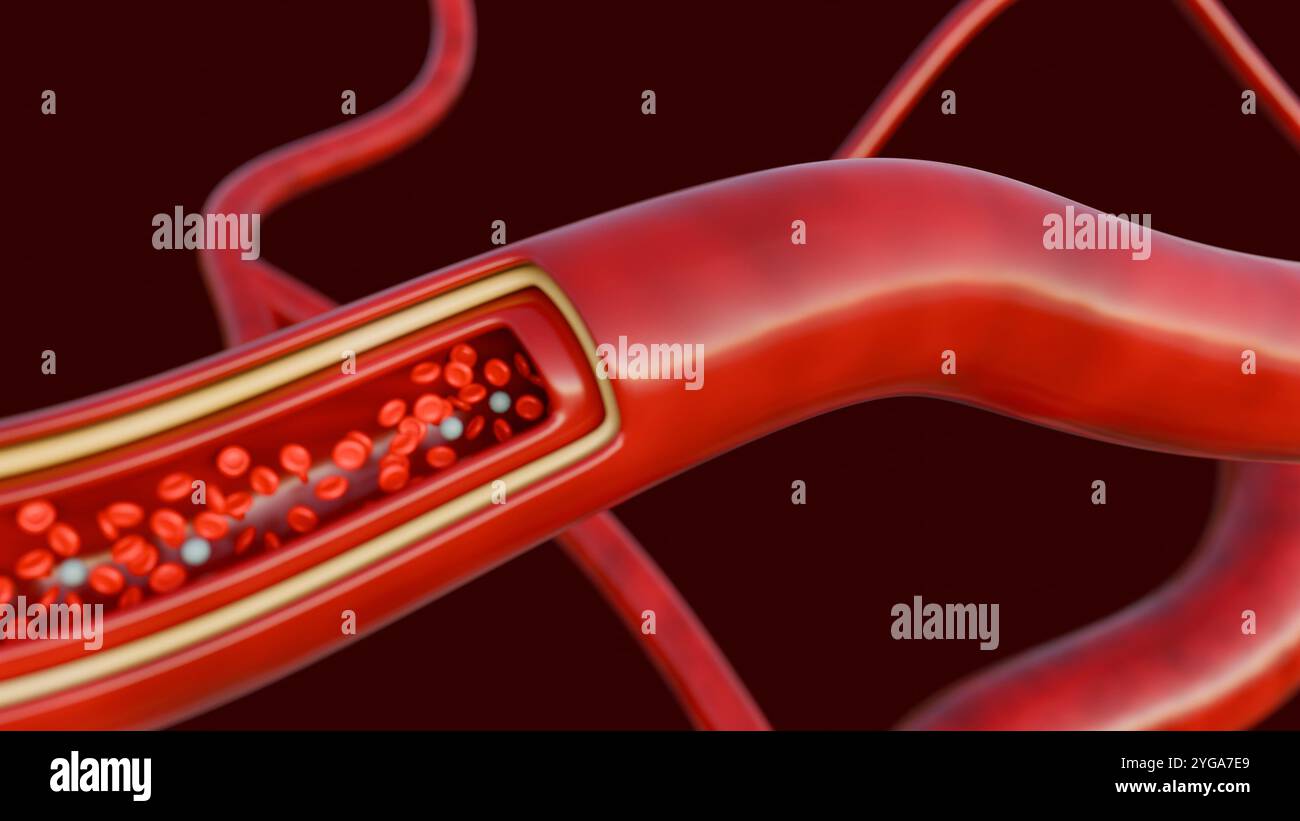 Un rendu 3D de la vue microscopique révèle une route animée de globules sanguins, avec des globules rouges se précipitant devant, transportant l'oxygène aux tissus du corps Banque D'Images