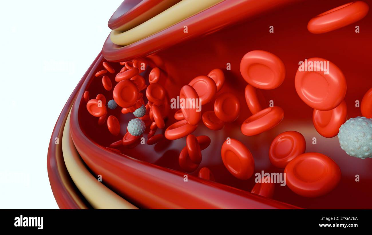Un rendu 3D de la vue microscopique révèle une route animée de globules sanguins, avec des globules rouges se précipitant devant, transportant l'oxygène aux tissus du corps Banque D'Images