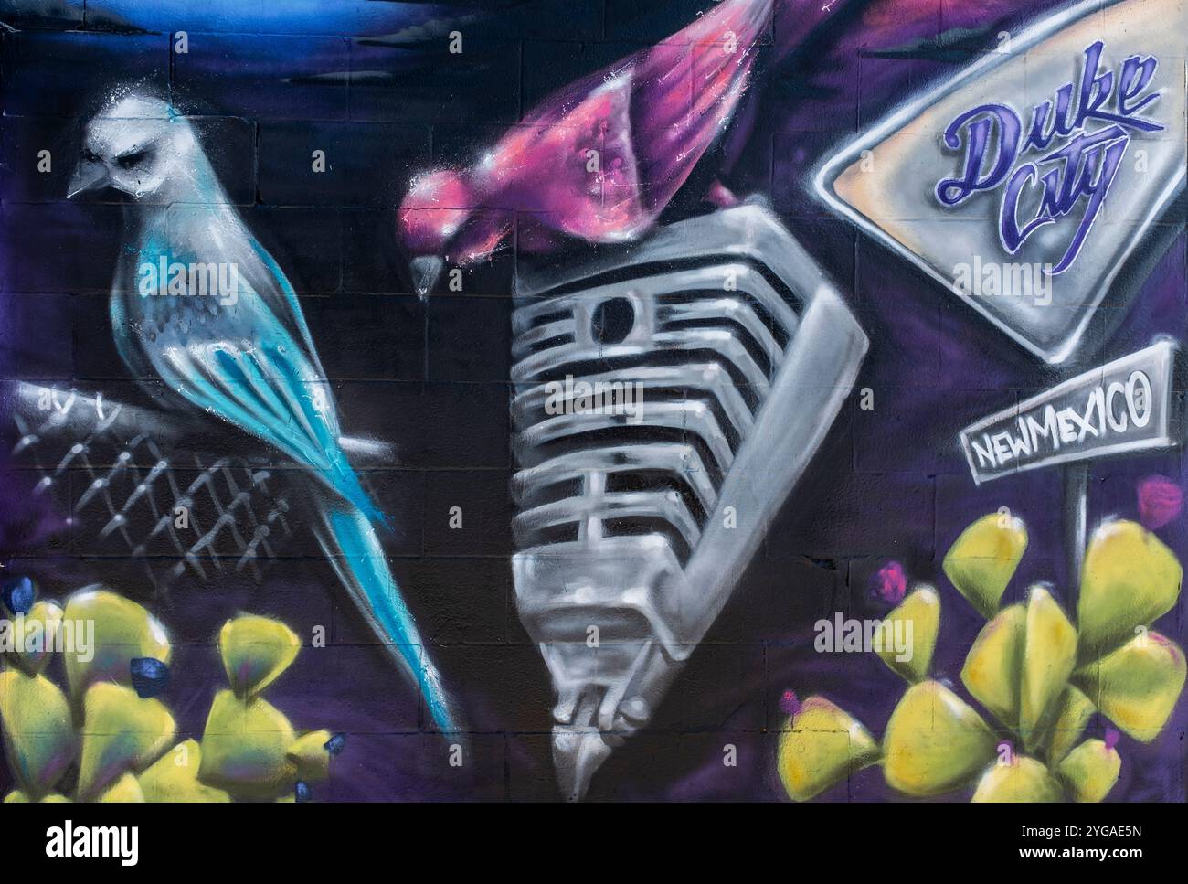 Street art à Albuquerque, Nouveau Mexique Banque D'Images