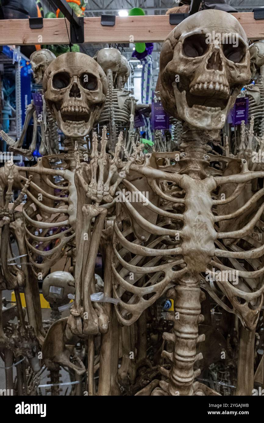 Articles d'Halloween à Lowe's, Albuquerque, Nouveau-Mexique Banque D'Images