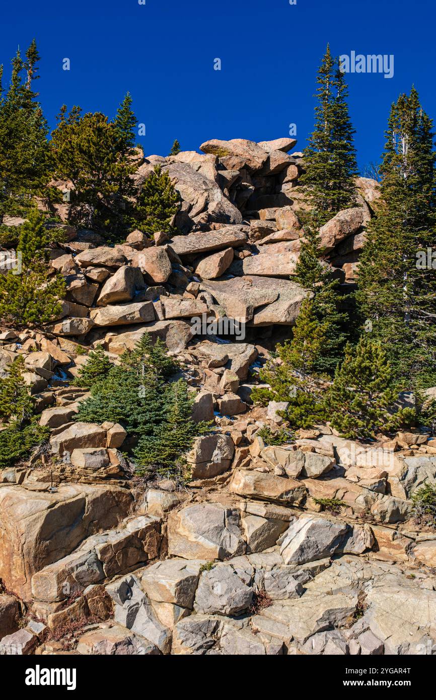 Dakota du Sud, parc national de Custer. Route. Banque D'Images