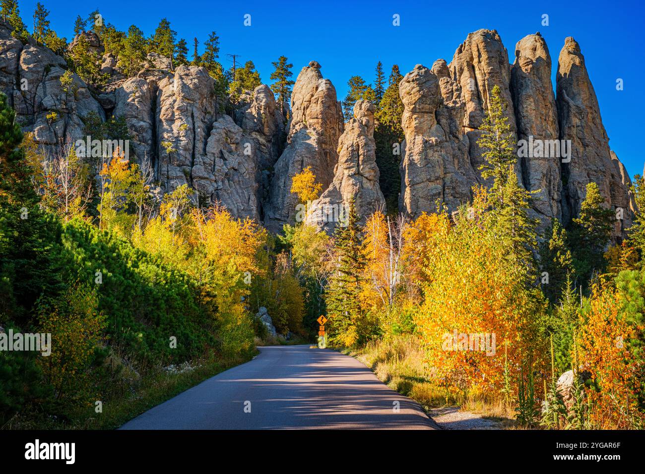 Dakota du Sud, parc national de Custer, Needles Banque D'Images