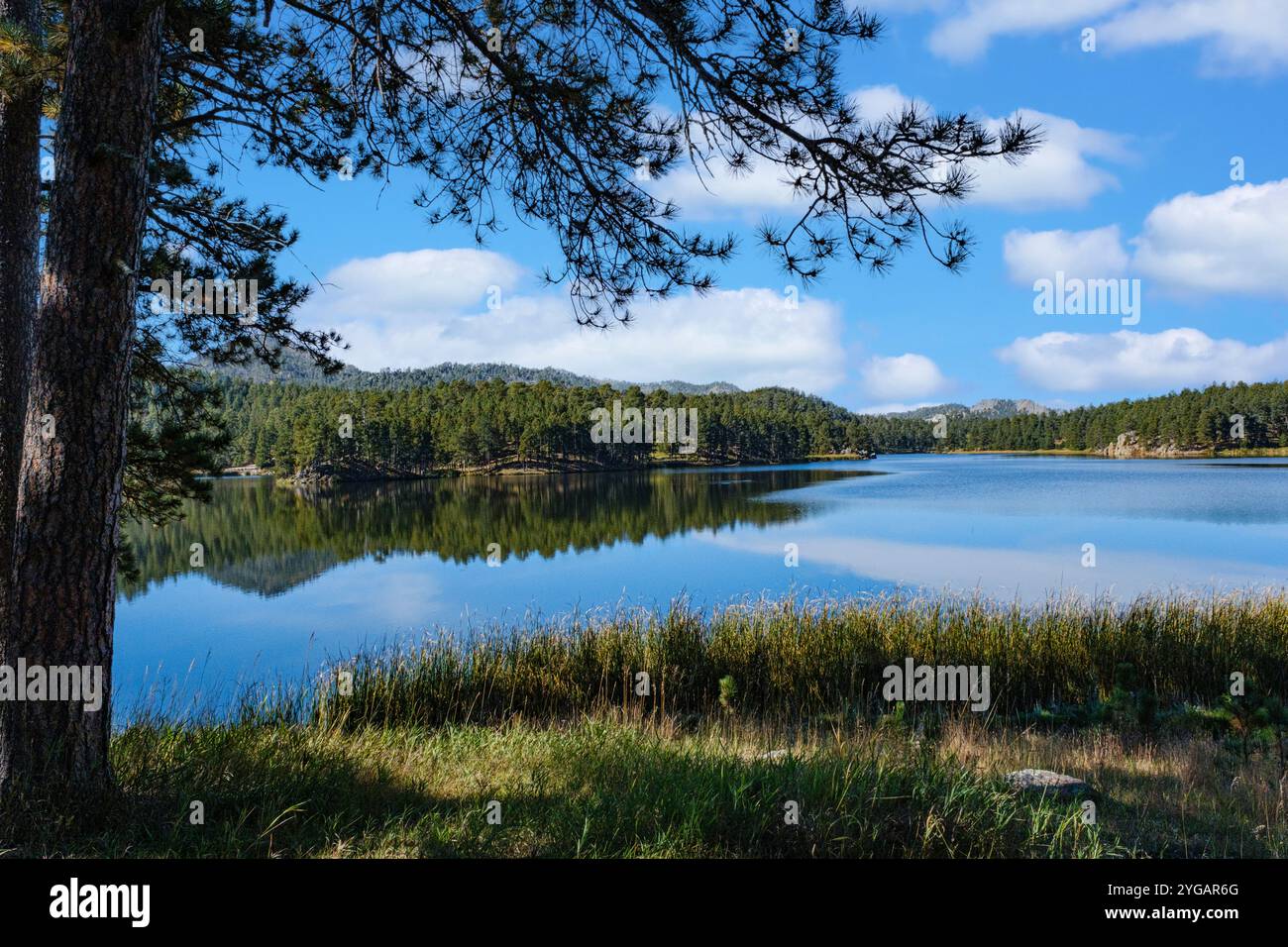 États-Unis, Dakota du Sud, Parc national de Custer, Center Lake Banque D'Images