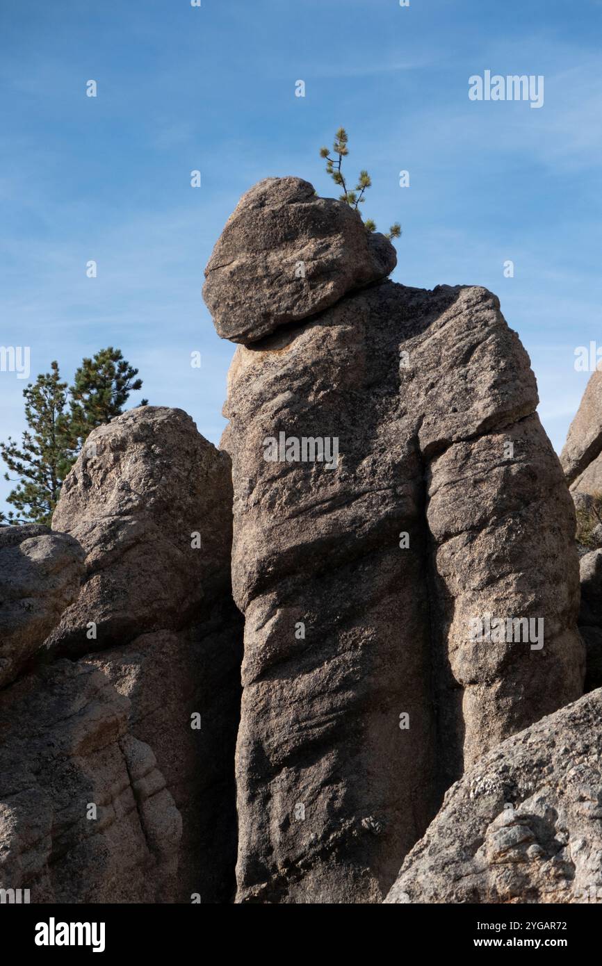 Formation rocheuse, parc national de Custer. Banque D'Images