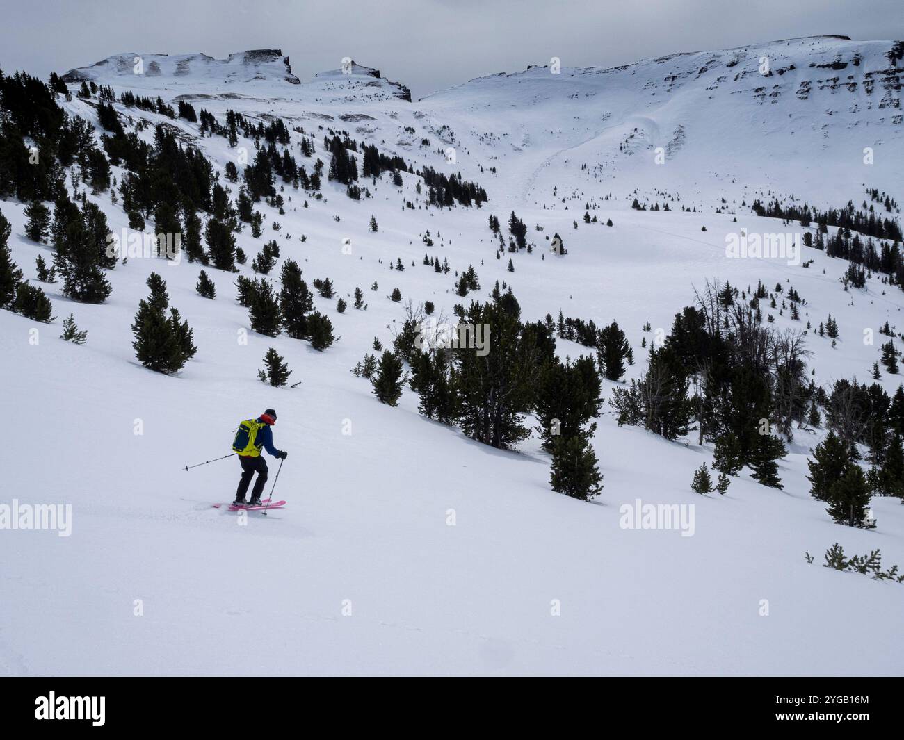 USA, Wyoming. Skieur qui fait une course de poudreuse dans les montagnes Absaroka. (Usage éditorial uniquement) Banque D'Images