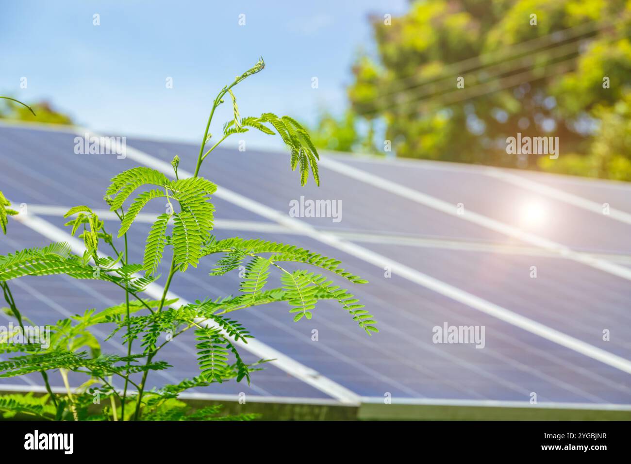 Closeup panneau solaire avec arbre végétal vert écologie ciel bleu ensoleillé. ECO POWER énergie propre pour le concept de technologie de l'environnement d'économie de nature. Banque D'Images