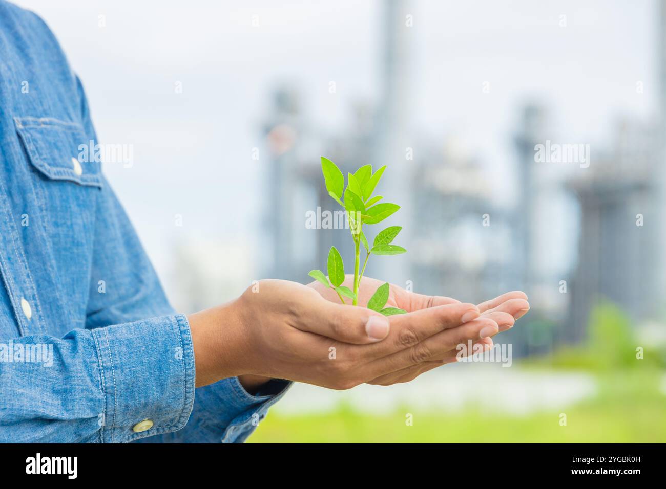 Main tenant la jeune plante sur fond de nature végétale d'industrie verte floue. Concept de jour de la terre industrielle écologique. Banque D'Images Main tenant la jeune plante sur fond de nature végétale d'industrie verte floue. Concept de jour de la terre industrielle écologique. Banque D'Images