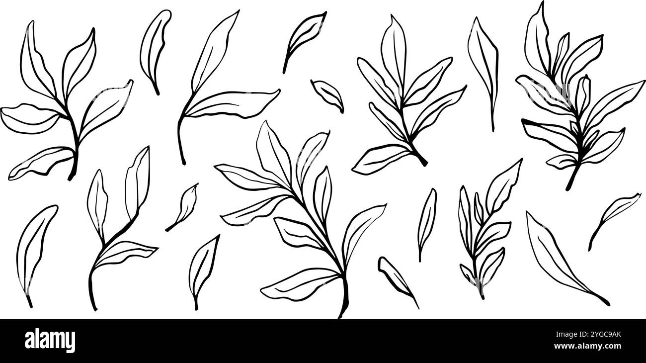 Collection élégante de contours de feuilles dessinés à la main vectoriels en noir et blanc, parfait pour les conceptions minimalistes, l'art botanique, l'artisanat de bricolage, les papiers peints, et Illustration de Vecteur