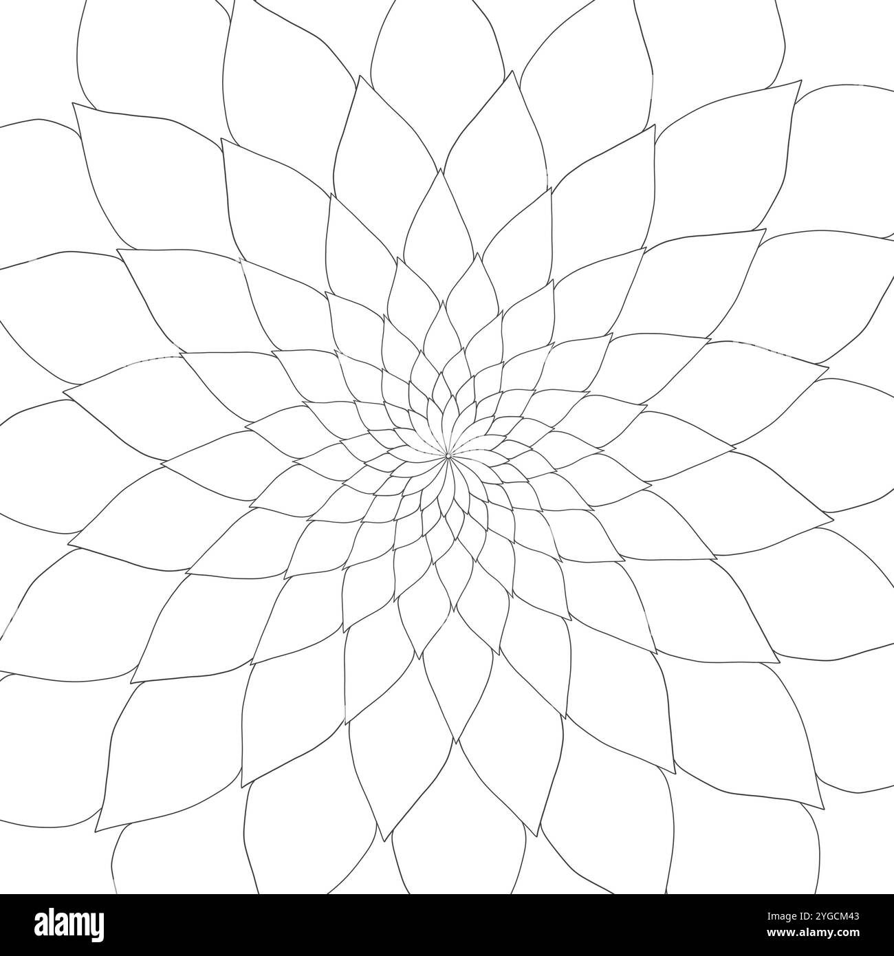 Vecteur de ligne Mandala de l'art floral géométrique symétrique abstrait pour livre de coloriage. Illustration naturelle conçue pour le décor. Banque D'Images